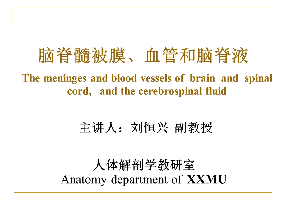 脑膜脑血管与脑脊液.ppt_第1页