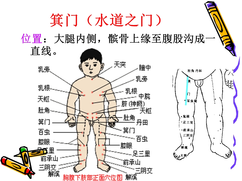 小儿下肢部特定穴u.ppt_第2页