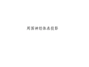 周围神经体表投影.ppt