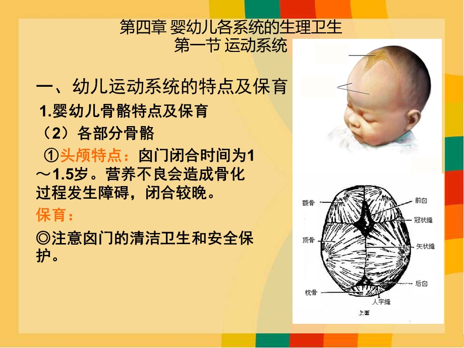 婴幼儿各系统的生理卫生.ppt_第3页