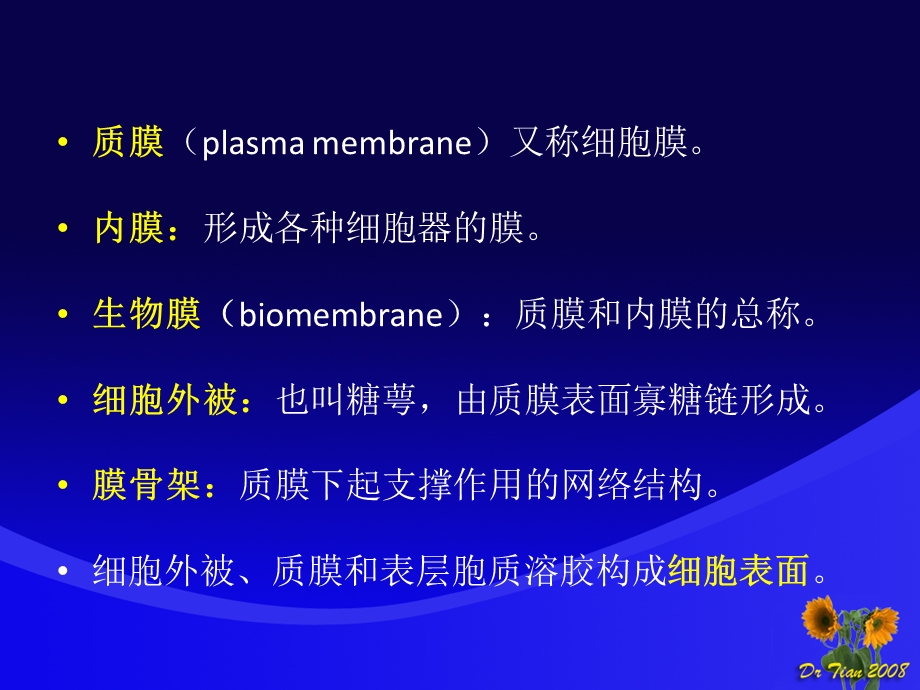 细胞的奥秘.ppt_第3页