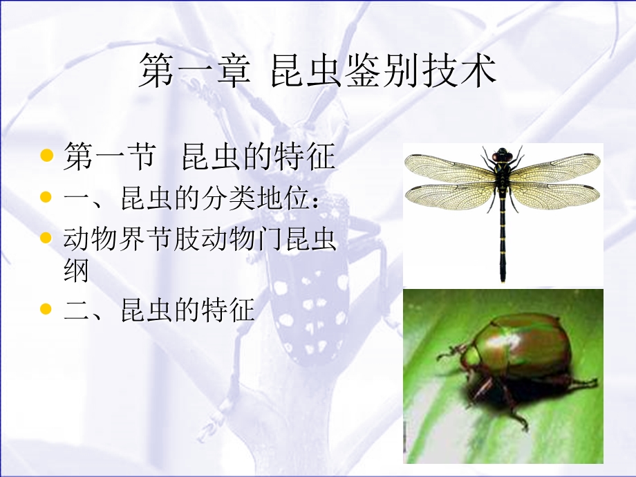 园林植物病虫害防治学教案.ppt_第1页