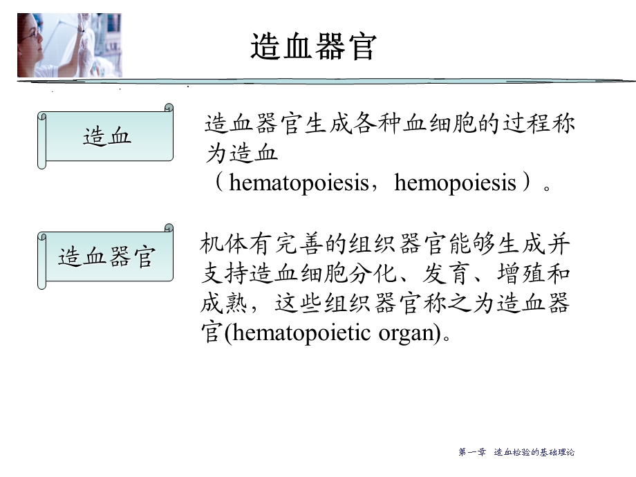 第一章 造血检验的基础理论1.ppt_第3页