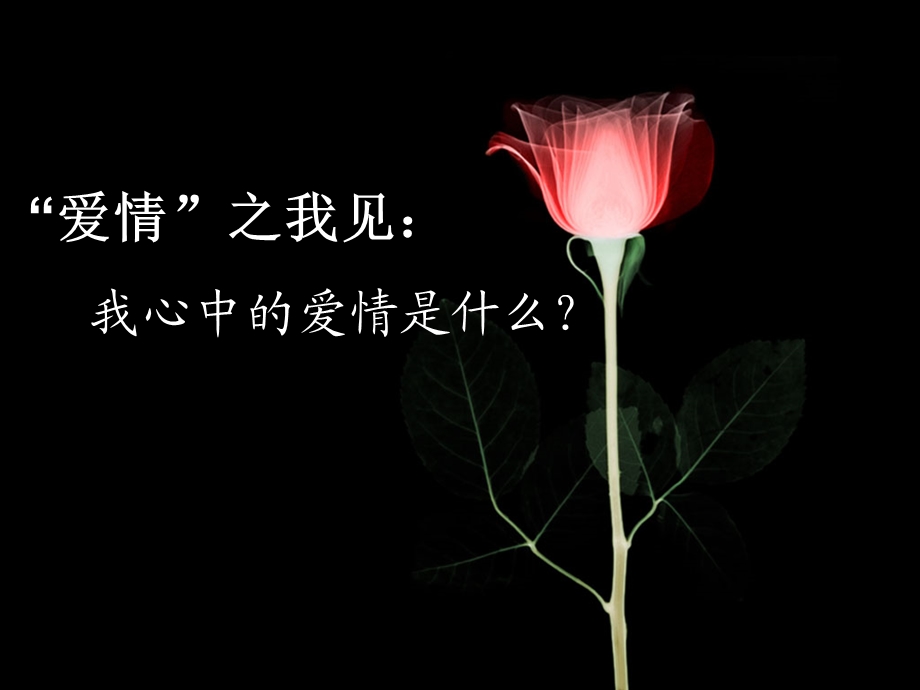 青期异交往ABOUTLOVE.ppt_第2页