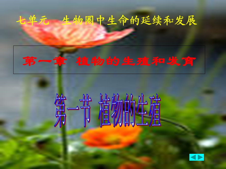 植物的生殖课件.ppt_第1页