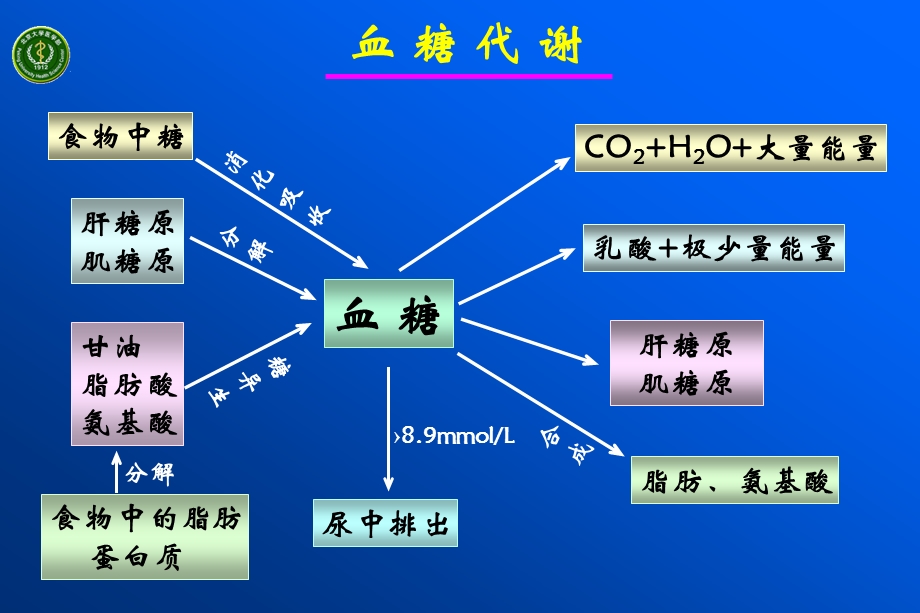 糖尿病病理生理学.ppt_第3页