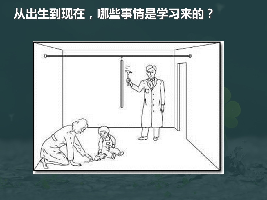 心理学导论第九章：学习.ppt_第2页