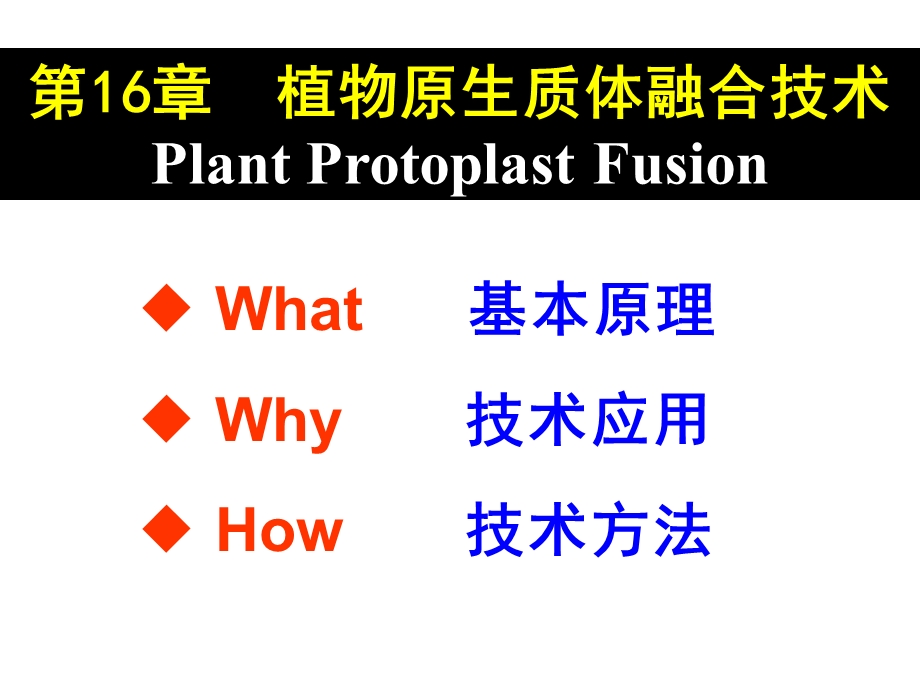 植物原生质体融合.ppt_第1页