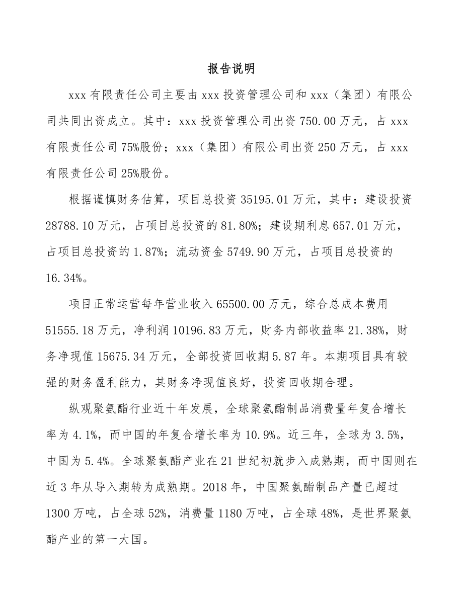 吉林省关于成立高弹塑料粒子公司可行性研究报告.docx_第2页