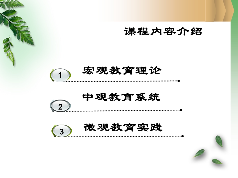 教师资格证教育学讲义.ppt_第3页