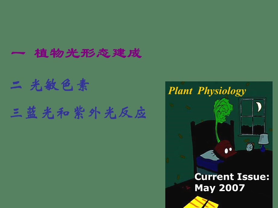 植物的生长与分化-光控发育.ppt_第2页