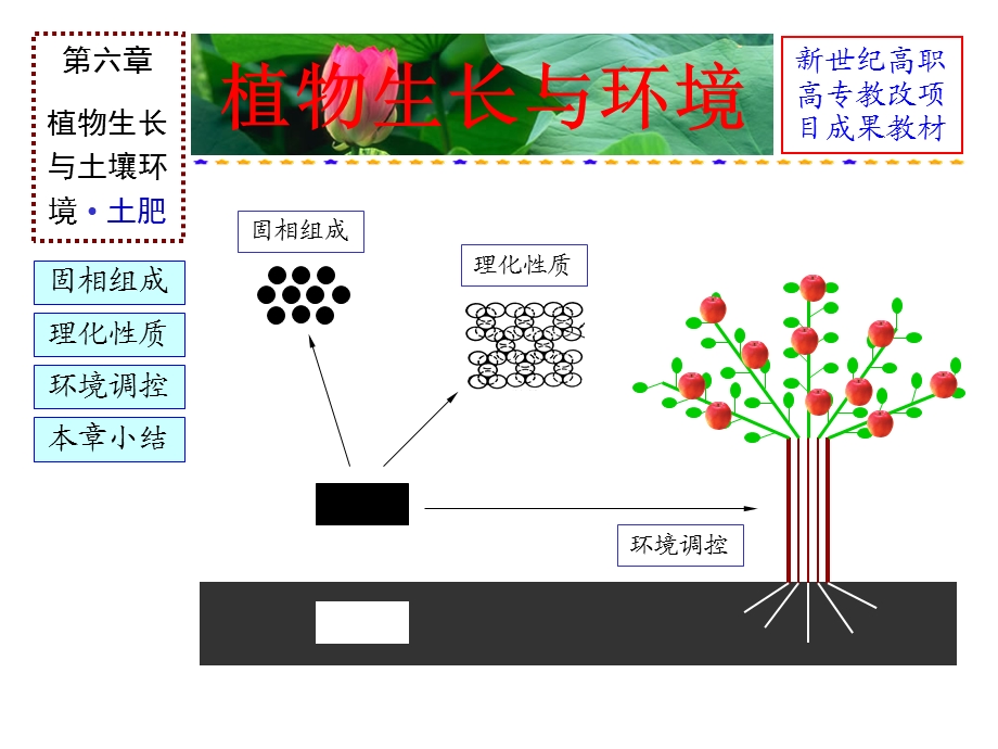 植物生长与土壤环境.ppt_第2页