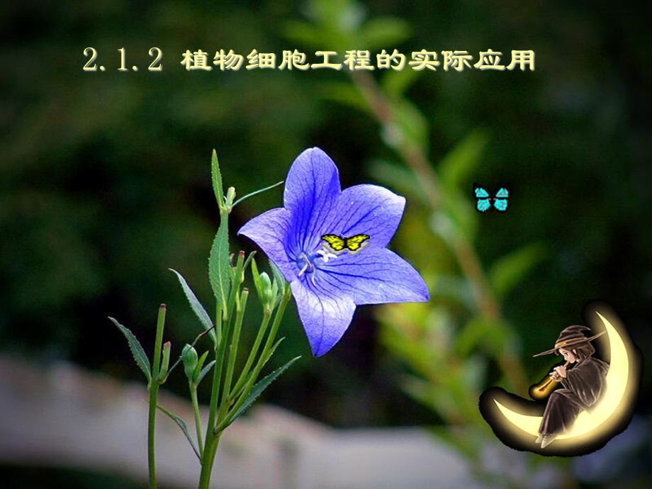 植物细胞工程的实际应用课件.ppt_第1页