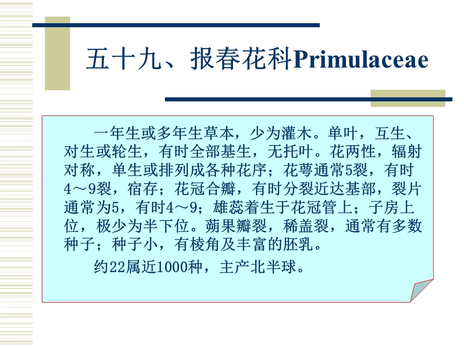 报春花科Primulacea.ppt_第1页