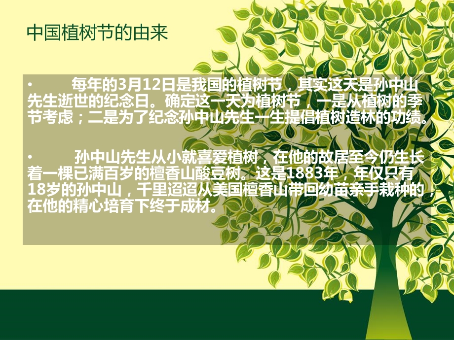 植树节主题班会多片绿叶多一份温馨.ppt_第2页