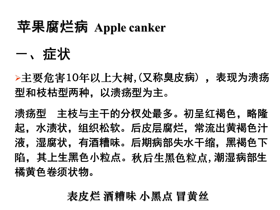 植物保护通论果树病害.ppt_第1页