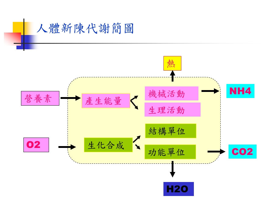 身体评估在护理运用.ppt_第2页