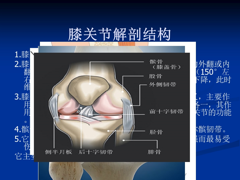 膝关节损伤保健.ppt_第2页