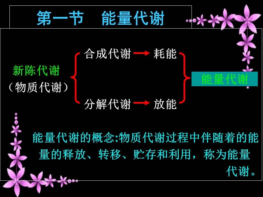 生理学 第七章 能量代谢与体温.ppt_第2页