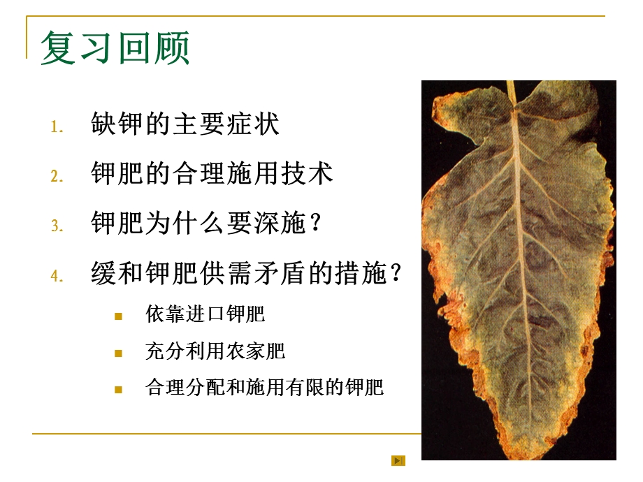 植物的钙镁硫硅营养及钙镁硫硅肥.ppt_第2页