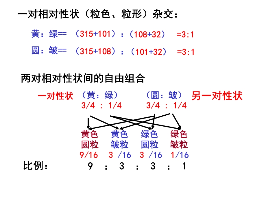 基因自由组合定律.ppt_第2页