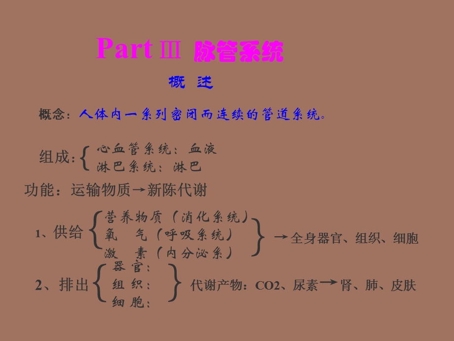 心血管系统解剖学课件.ppt_第1页