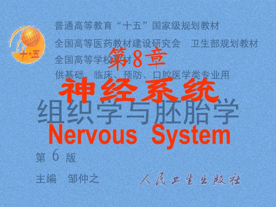 脑神经系统神经系统.ppt_第1页
