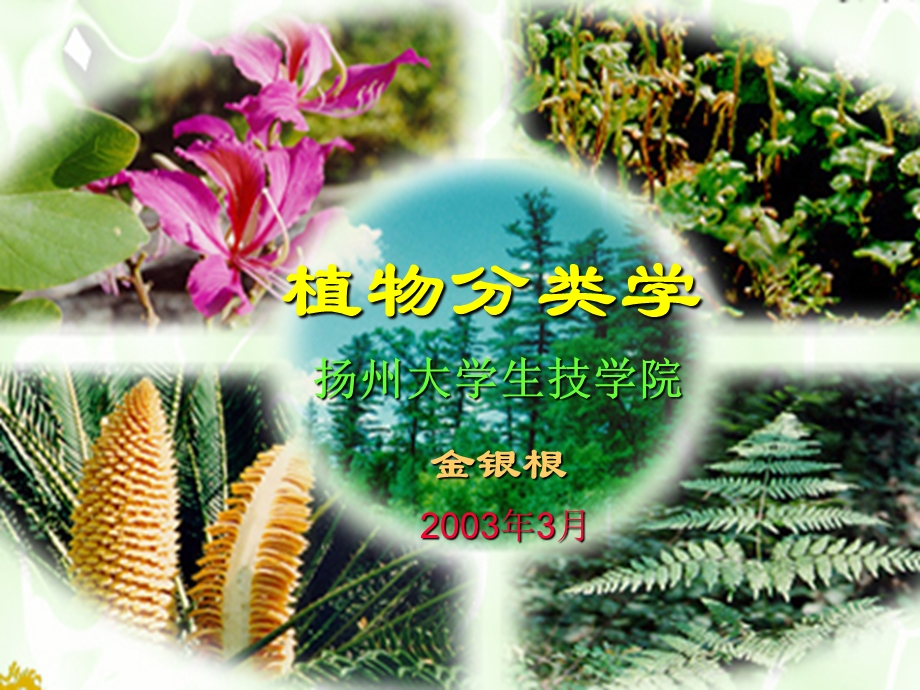 植物分类学和植物分类系统.ppt_第1页