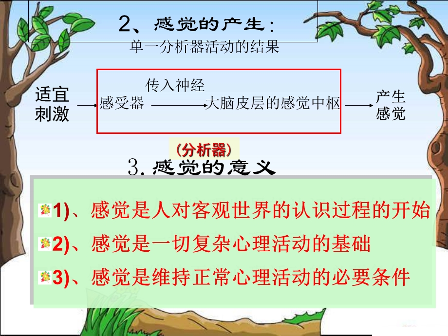 心理学感知觉.ppt_第3页