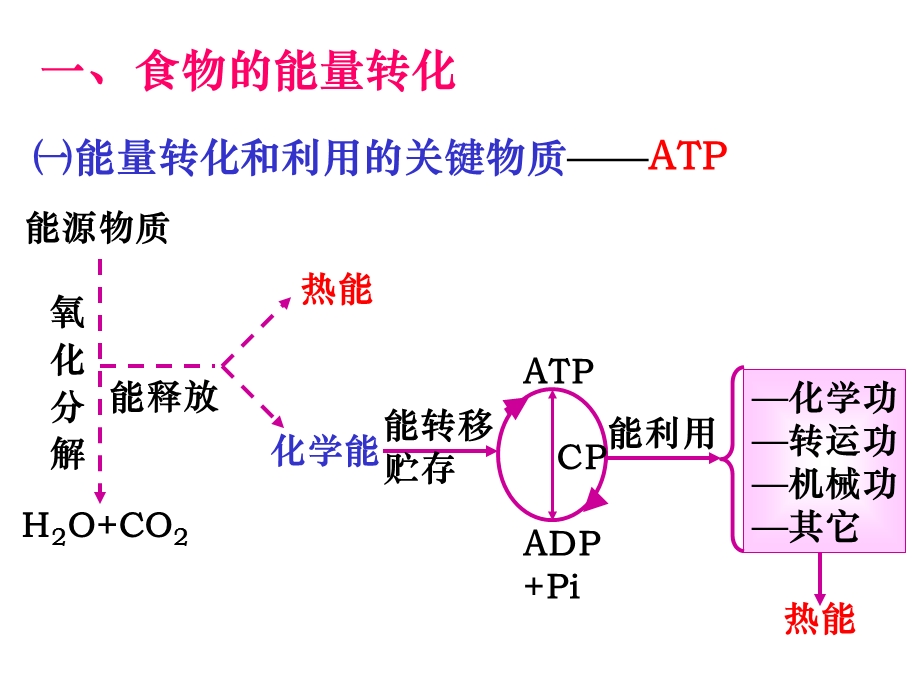 能量代谢 和体温.ppt_第3页