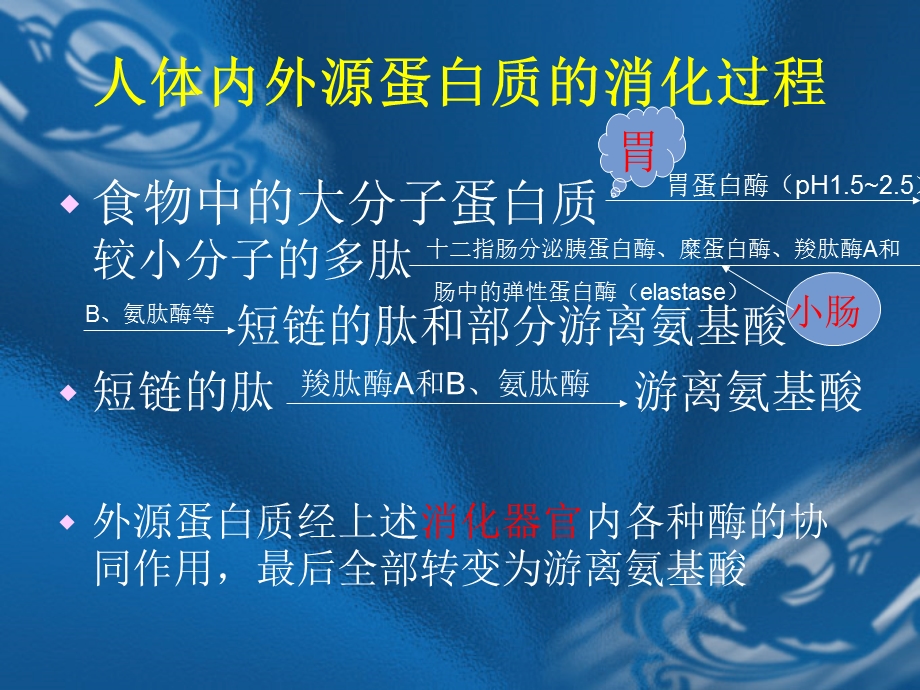 蛋白酶ppt课件.ppt_第3页