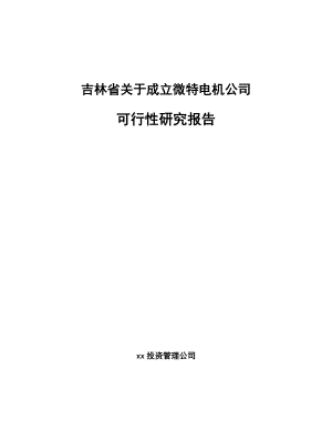 吉林省关于成立微特电机公司可行性研究报告.docx