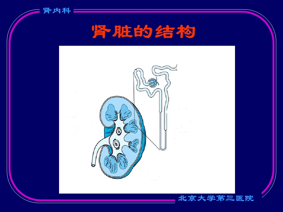 肾小球疾病.ppt_第3页