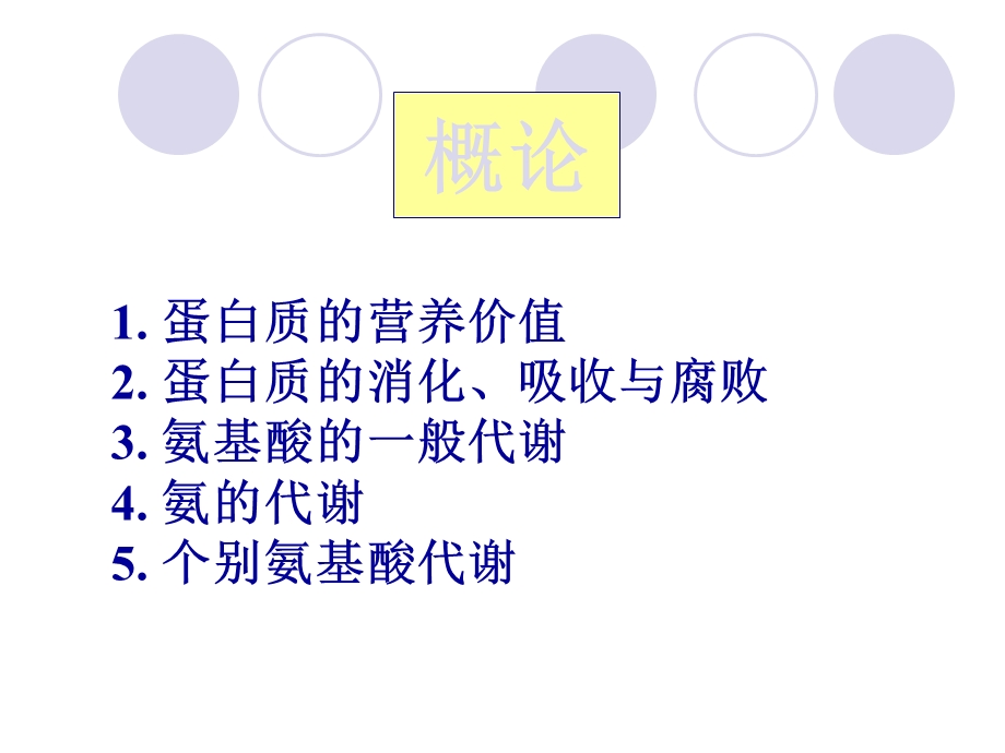 第八章氨基酸代谢.ppt_第2页