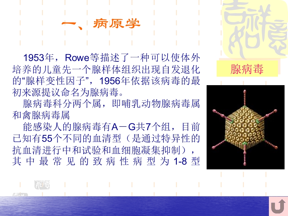 腺病毒肺炎讲课.ppt_第3页