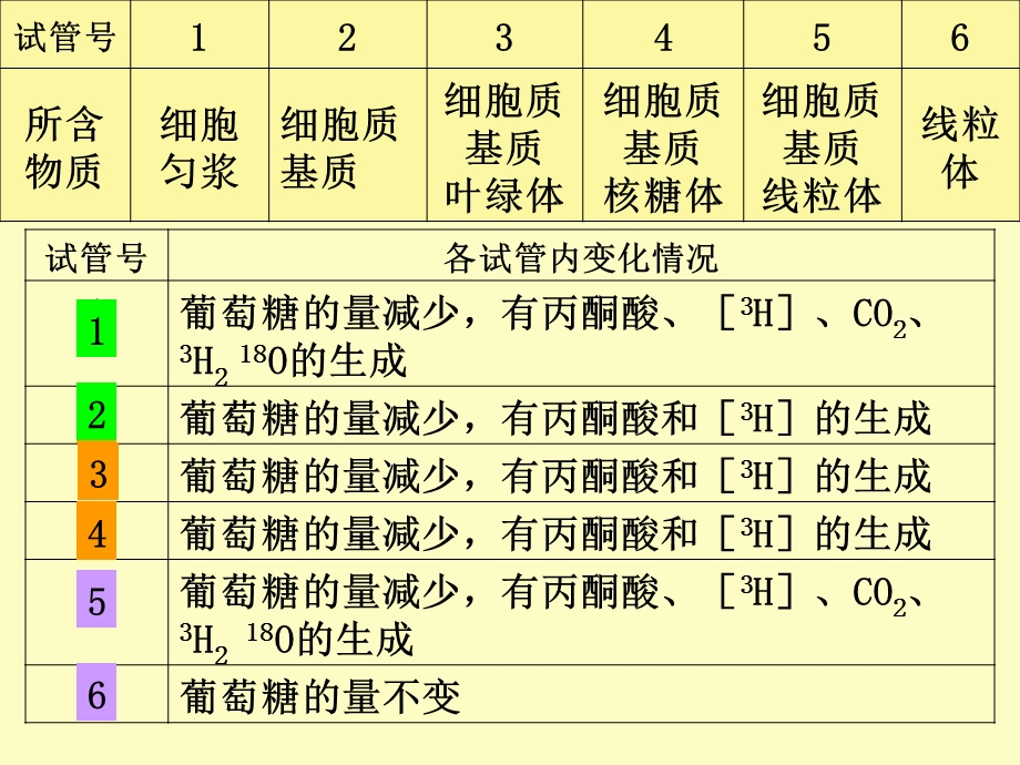 细胞呼吸过程、原理及应用.ppt_第2页