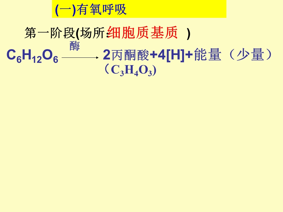 细胞呼吸过程、原理及应用.ppt_第3页