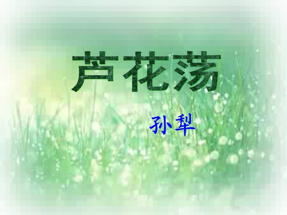 芦花荡公开课课件.ppt_第2页