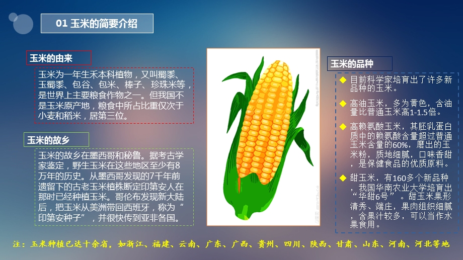 玉米的检测标准.ppt_第3页
