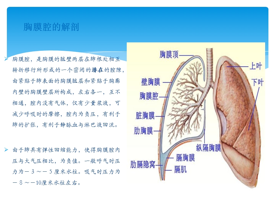 胸腔穿刺术实用讲解.ppt_第3页