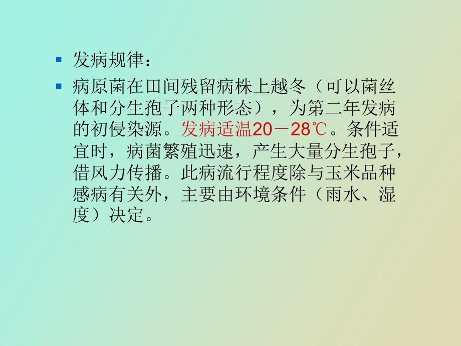 玉米病虫害及防治.ppt_第3页