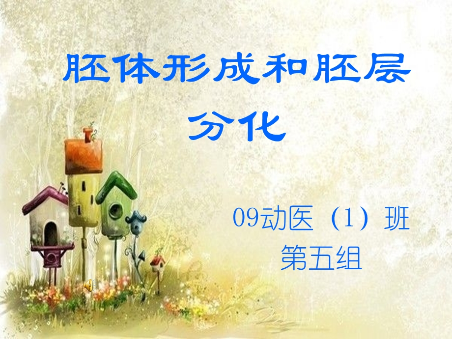 胚体形成和胚层分化.ppt_第1页