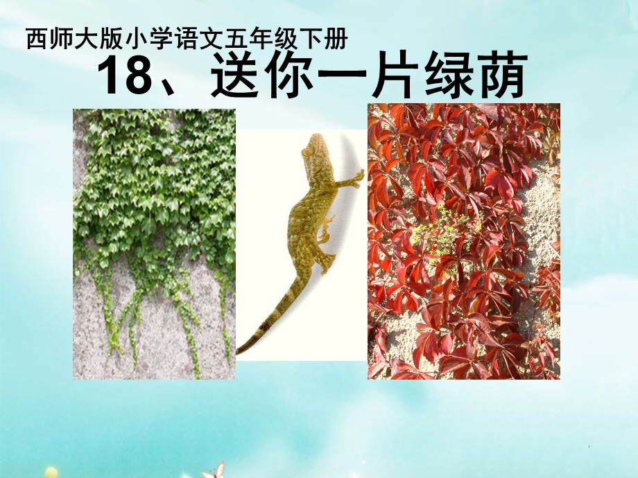 送你一片绿荫.ppt_第1页