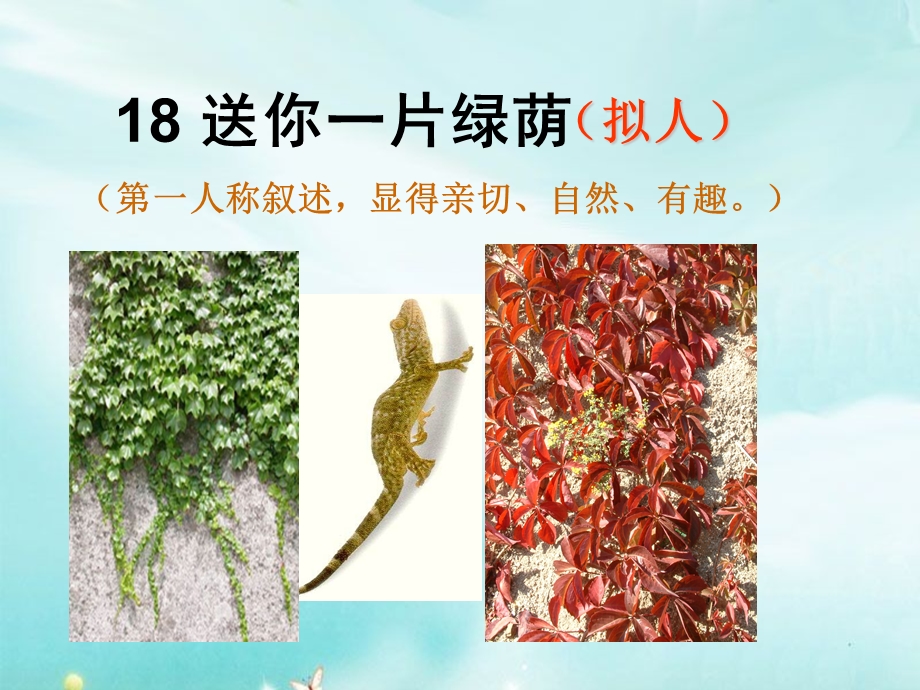 送你一片绿荫.ppt_第2页