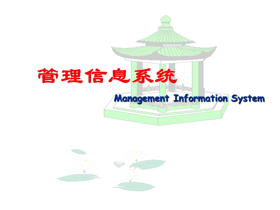 管理信息系统的技术基础.ppt_第1页