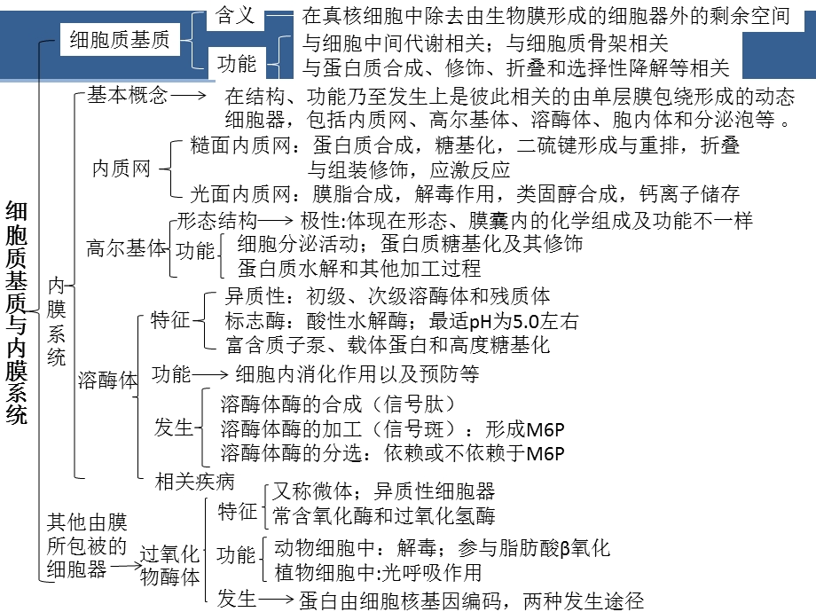 细胞质基质与内膜系统.ppt_第3页