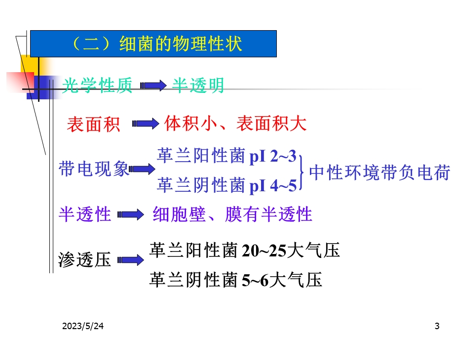 细菌的生长繁殖与培养课件.ppt_第3页