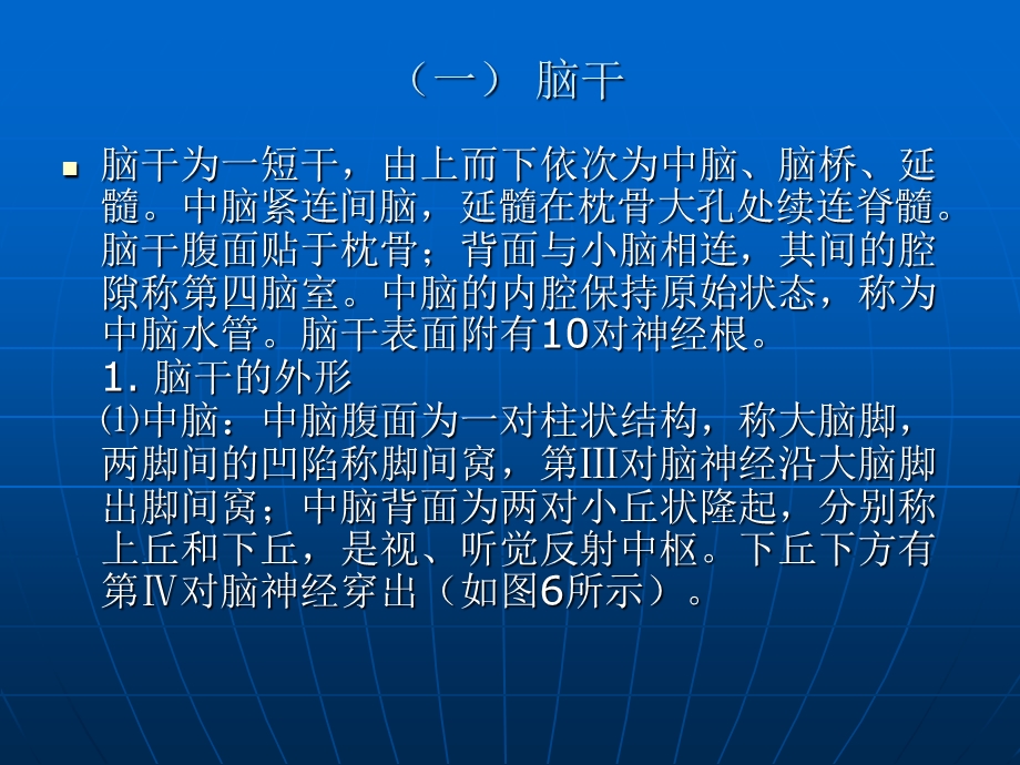 脑部详细解剖图解.ppt_第3页