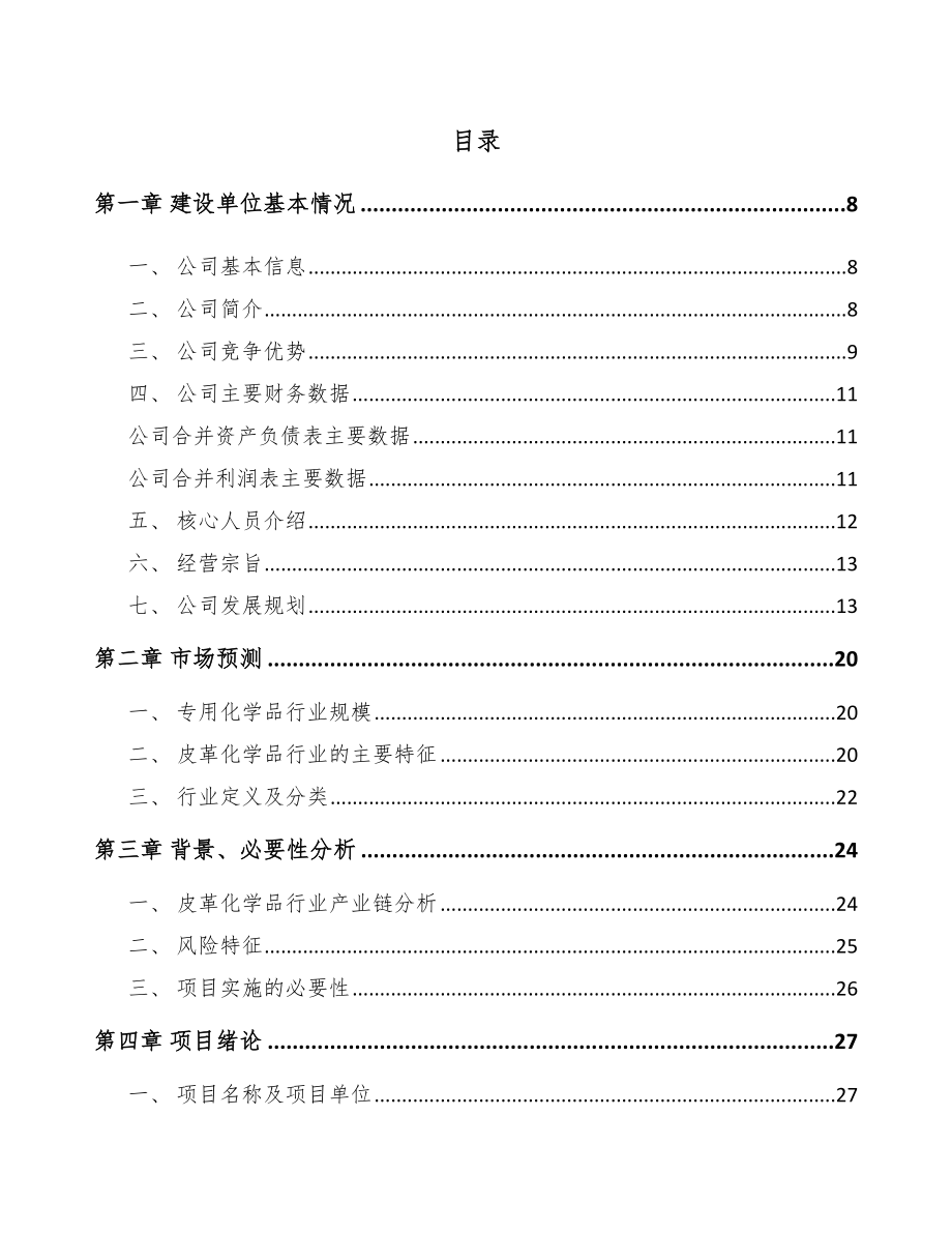 嘉兴皮革化学品项目可行性研究报告.docx_第1页