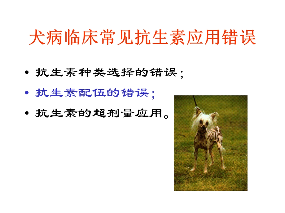 犬猫临床抗生素的应用.ppt_第3页